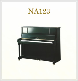 NA123