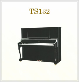 TS132